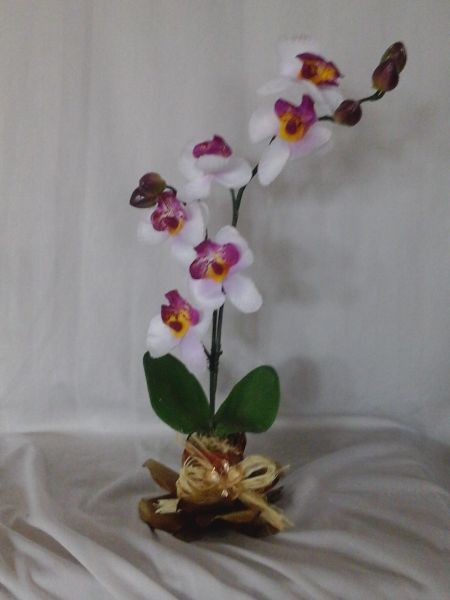 Arranjo de flores  orquídea mesclada