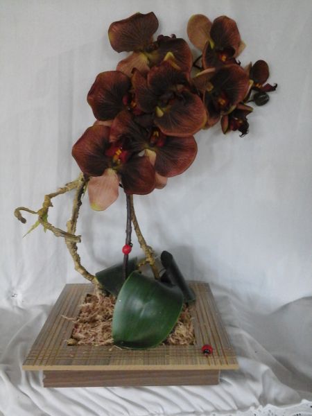 Arranjo de flores orquídea marron - Prata Raspada